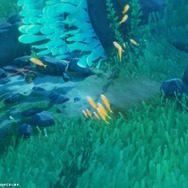 『原神』フォンテーヌでは「水中探索」が可能に！？海の中を泳ぐ「旅人」の姿がサプライズ公開