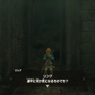 『ゼルダの伝説 ティアキン』のゼルダ姫が可愛い！歴代シリーズでも激レアな「ショートヘア姿」をじっくり観察