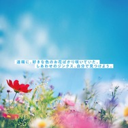 『シャニマス』話題の“ノクチルっぽい飴”ってなに？ゲームとは無関係なのに、透明感が奇跡の一致―「想像以上にノクチルだった」