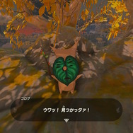 助けたくなる？それとも…『ゼルダの伝説 ティアキン』海外ユーザーが手作りのコログ人形を披露！
