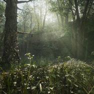 話題の『MGS3』リメイク『METAL GEAR SOLID Δ』のSteamストアページ公開！気になる要求スペックなどは未定……？