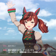 ウマ娘「最強の嫁」の座は、母性が勝つか料理上手が制するか！？ 「スーパークリーク」「ナイスネイチャ」などが火花を散らす【アンケ結果】