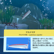 『なつもん! 20世紀の夏休み』少年探偵団や花火屋さんのお手伝いも!夏休みを満喫するイベント情報