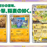 ポケモンカード　リクエスト 状態A-】トドロクツキex SAR ( 090/066) [SV4K] の通販・買取