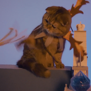 画像は「プレイステーション公式(@PlayStation_jp)」からのスクリーンショット。