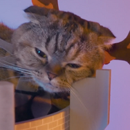 画像は「プレイステーション公式(@PlayStation_jp)」からのスクリーンショット。