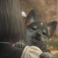 『FF16』でもっとも有能なのはトルガル!? 可愛くカッコ良く、状況判断も適切と“大物”の片鱗
