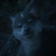 『FF16』でもっとも有能なのはトルガル!? 可愛くカッコ良く、状況判断も適切と“大物”の片鱗