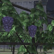 『FF16』これがPS5のパワー？『FF14』ミームにもなった“ぶどう”が美麗グラフィックに！