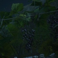 『FF16』これがPS5のパワー？『FF14』ミームにもなった“ぶどう”が美麗グラフィックに！