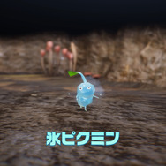 『ピクミン4』限定商品が目白押し！ファミリーマートで「コラボキャンペーン」7月4日から開催決定