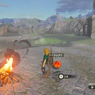 『ゼルダの伝説 ティアキン』ニュースランキング―更新データVer.1.2.0でプレゼント機能解放！“漁業の発達”も見逃せない…？