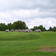 睡眠計測に「枕元に8台スマホを並べてデバッグした」―7月下旬リリース予定の『ポケモンスリープ』先行体験レポ　