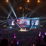 ウマ娘「5th EVENT 第1公演 DAY2」レポ！今一度辿るアニメ「ROAD TO THE TOP」の激闘―柵は破壊され、モルモット君たちも発光した1日