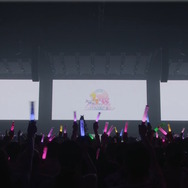 ウマ娘「5th EVENT 第1公演 DAY2」レポ！今一度辿るアニメ「ROAD TO THE TOP」の激闘―柵は破壊され、モルモット君たちも発光した1日