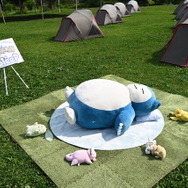 「ポケモン」ニュースランキング―『ポケカ』新弾オモダカ、ポピーのSARイラストが眩しい！『ポケモンSV』にはゴリランダーが襲来