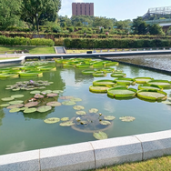 『ミリオン』×「でらます」を思う存分楽しむ！名古屋の観光地や食事、10thツアー会場の様子などお届け【現地レポート】