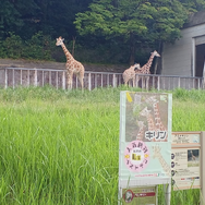 『ミリオン』×「でらます」を思う存分楽しむ！名古屋の観光地や食事、10thツアー会場の様子などお届け【現地レポート】