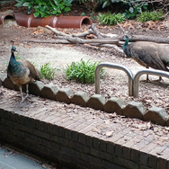 『ミリオン』×「でらます」を思う存分楽しむ！名古屋の観光地や食事、10thツアー会場の様子などお届け【現地レポート】