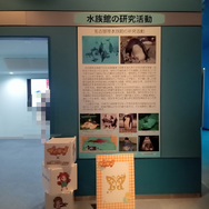 『ミリオン』×「でらます」を思う存分楽しむ！名古屋の観光地や食事、10thツアー会場の様子などお届け【現地レポート】