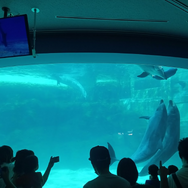 『ミリオン』×「でらます」を思う存分楽しむ！名古屋の観光地や食事、10thツアー会場の様子などお届け【現地レポート】