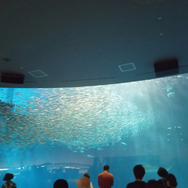 『ミリオン』×「でらます」を思う存分楽しむ！名古屋の観光地や食事、10thツアー会場の様子などお届け【現地レポート】