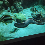 『ミリオン』×「でらます」を思う存分楽しむ！名古屋の観光地や食事、10thツアー会場の様子などお届け【現地レポート】