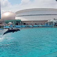 『ミリオン』×「でらます」を思う存分楽しむ！名古屋の観光地や食事、10thツアー会場の様子などお届け【現地レポート】