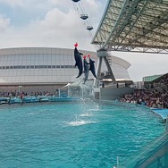『ミリオン』×「でらます」を思う存分楽しむ！名古屋の観光地や食事、10thツアー会場の様子などお届け【現地レポート】
