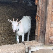 『ポケモンSV』DLC「ゼロの秘宝」の舞台キタカミの里は、岩手の北上市がモチーフ？現地で探ってみました【地名と伝説ポケモン・オーガポン編】