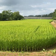 『ポケモンSV』DLC「ゼロの秘宝」の舞台キタカミの里は、岩手の北上市がモチーフ？現地で探ってみました【地名と伝説ポケモン・オーガポン編】