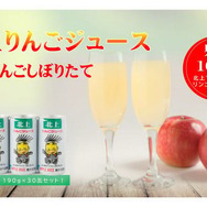 『ポケモンSV』DLC「ゼロの秘宝」の舞台キタカミの里は、岩手の北上市がモチーフ？現地で探ってみました【地名と伝説ポケモン・オーガポン編】