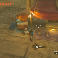 『ゼルダの伝説 ティアキン』今、再びのNPC密着取材・子供たち編―天変地異になっても元気に育つ！ハテノ村とゲルドの街で観察してみた