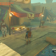 『ゼルダの伝説 ティアキン』今、再びのNPC密着取材・子供たち編―天変地異になっても元気に育つ！ハテノ村とゲルドの街で観察してみた