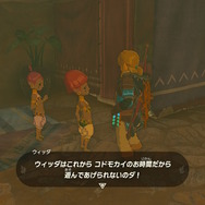 『ゼルダの伝説 ティアキン』今、再びのNPC密着取材・子供たち編―天変地異になっても元気に育つ！ハテノ村とゲルドの街で観察してみた