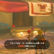 『ゼルダの伝説 ティアキン』今、再びのNPC密着取材・子供たち編―天変地異になっても元気に育つ！ハテノ村とゲルドの街で観察してみた