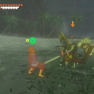 『ゼルダの伝説 ティアキン』ウオトリゾートのススメ！遊び、学び、鍛える最高の体験はウオトリー村で！