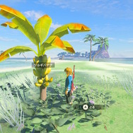 『ゼルダの伝説 ティアキン』ウオトリゾートのススメ！遊び、学び、鍛える最高の体験はウオトリー村で！