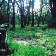 伝説的ホラー『P.T.』配信から9年―「想定より早くクリアされた」小島監督が当時を振り返る