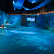 第二章 テイワット・フォンテーヌ