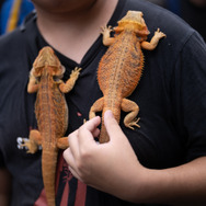 台湾でも伊織もえ人気がヤバすぎた！最大級の同人イベント「台湾FF41」で繰り広げられた圧倒的囲み芸をご覧あれ