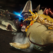 カニがバトルを繰り広げる甲殻類ACT新作『カニノケンカ・ニ』が今冬Steam早期アクセス開始決定！