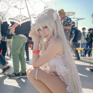 レディ・アヴァロン『Fate/Grand Order』／琴音（X：@kkttnn28）／撮影：uhimaru