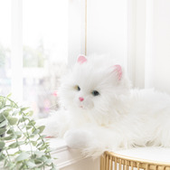 まるで本物みたいな可愛さ！感情表現まで行うペットロボット「しっぽふりふり あまえんぼう 子ねこちゃん」がクラファンを実施