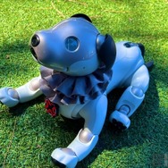 『VALORANT』ファン感涙！超豪華な会場・演出・ライブ・ファンフェスタ…これが「VALORANT Champions 2023」だ