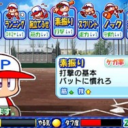パワプロ サクセス・レジェンズ