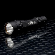 バイオハザード W購入者キャンペーン