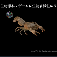 ビデオゲームの世界でも生物多様性の実現を！オンライン公開中の「3Dデジタル生物標本」の多様な展開について紹介【CEDEC 2023】