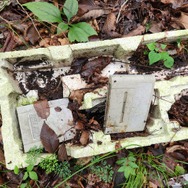 栃木の山奥で発見！スーパーファミコン&スーパースコープが捨てられていた…レーザーディスクなど懐かしの品も