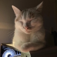 ※画像はRedditより引用。